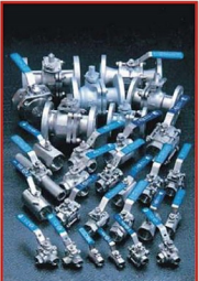 Stainless Steel Valves
